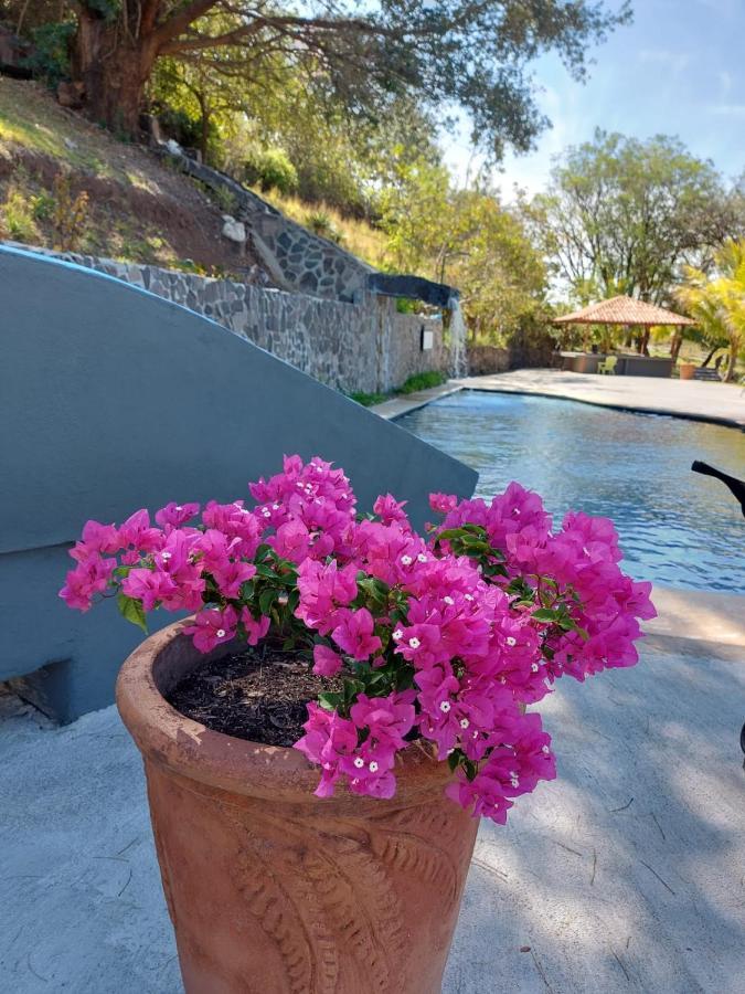 Hotel Vida Aventura Ranch Tanques Zewnętrze zdjęcie