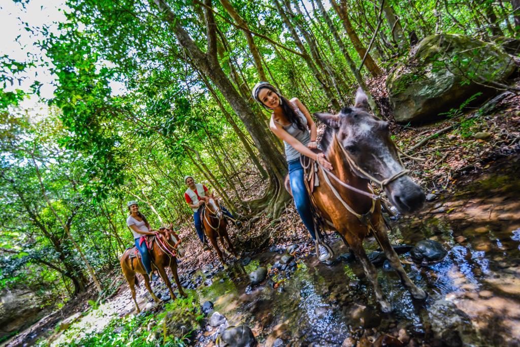 Hotel Vida Aventura Ranch Tanques Zewnętrze zdjęcie