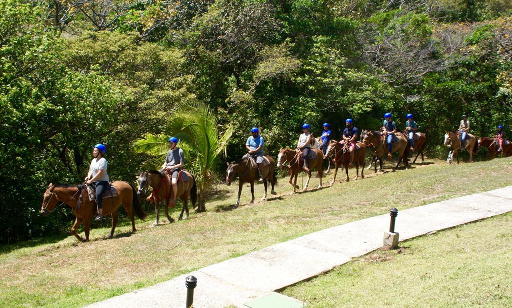 Hotel Vida Aventura Ranch Tanques Zewnętrze zdjęcie