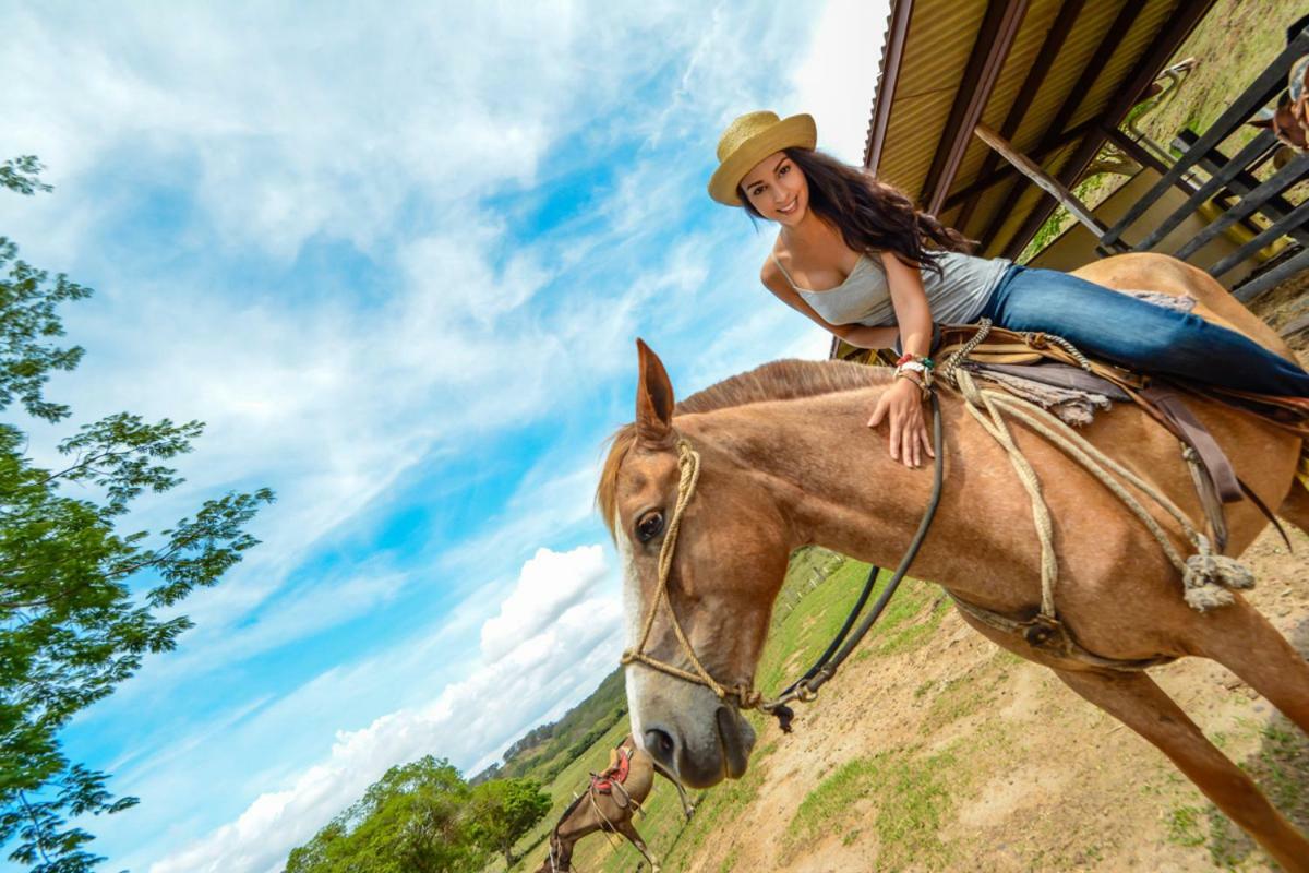Hotel Vida Aventura Ranch Tanques Zewnętrze zdjęcie
